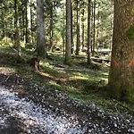Solhof-schoemberg *