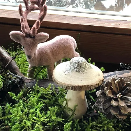 Solhof-schoemberg Loßburg