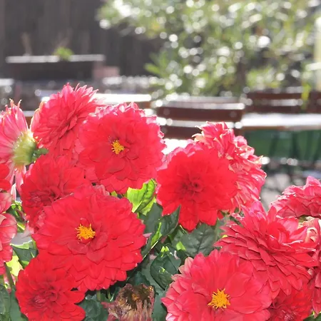 Solhof-schoemberg Loßburg