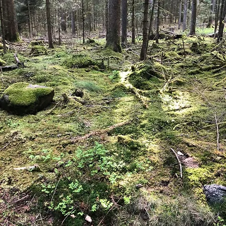 Han/Misafirhane Solhof-schoemberg *