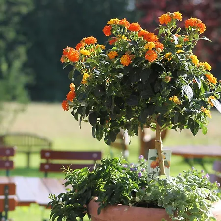 Solhof-schoemberg Han/Misafirhane Loßburg