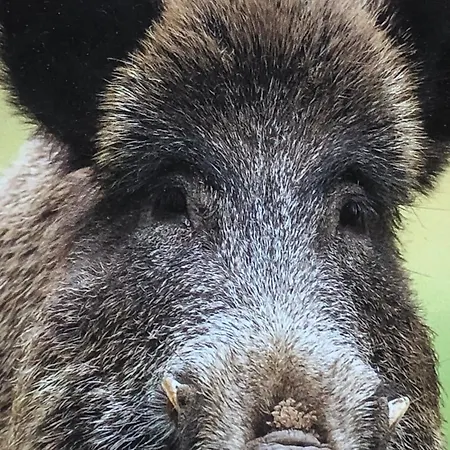 Inn Solhof-schoemberg