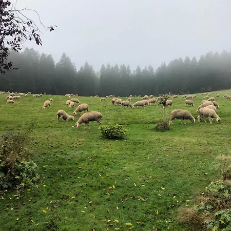 Solhof-schoemberg بيت ريفي Loßburg