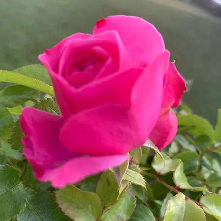 Solhof-schoemberg Inn