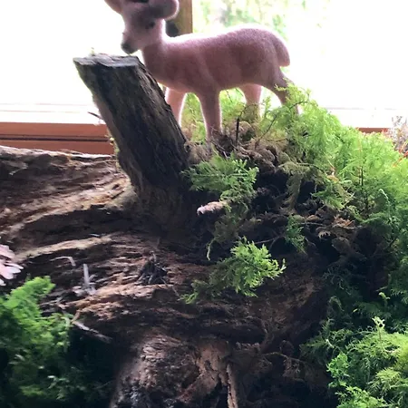 Han/Misafirhane Solhof-schoemberg