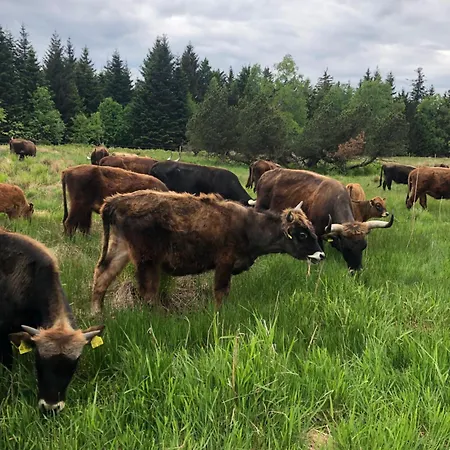 Solhof-schoemberg Loßburg