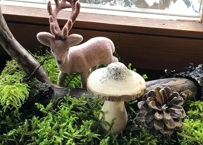 Solhof-schoemberg Lossburg