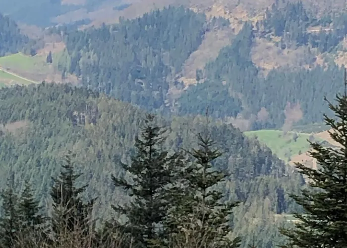 Solhof-schoemberg Inn Lossburg