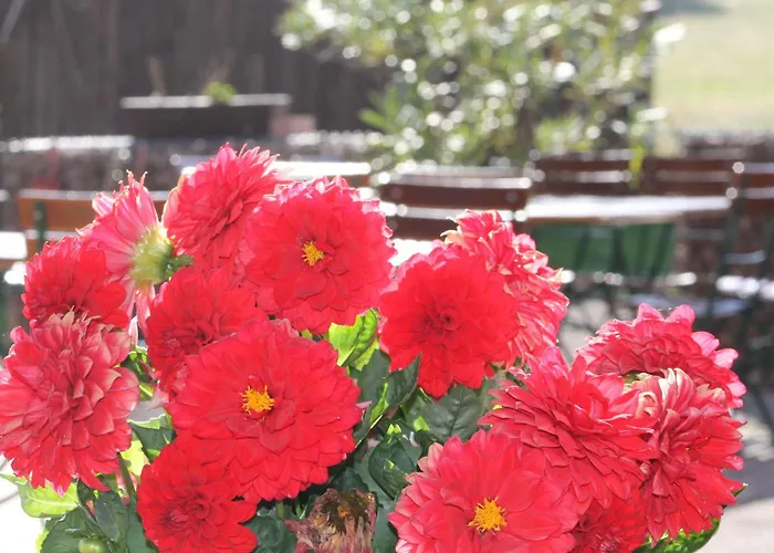 Solhof-schoemberg Lossburg