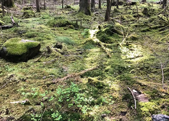 Inn Solhof-schoemberg *