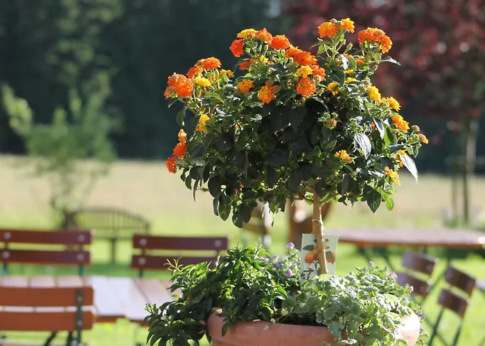 Solhof-schoemberg Inn Lossburg