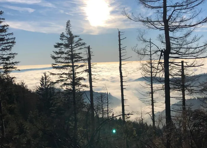 Solhof-schoemberg Inn Lossburg