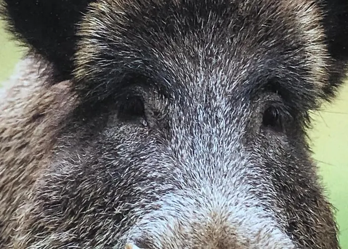 Inn Solhof-schoemberg